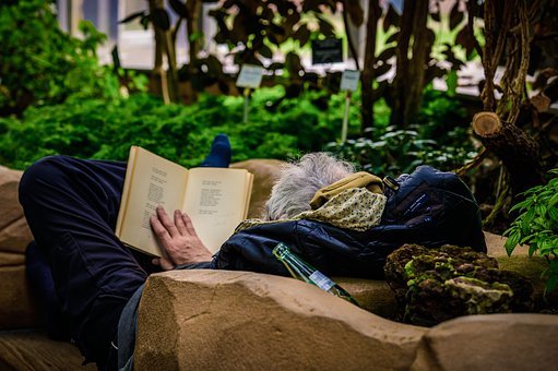 午休, 放松, 植物园, 读, 休息, 松弛, 银行, 安静的, 坐, 娱乐