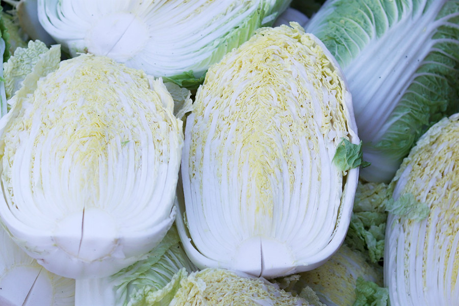 白菜5.jpg
